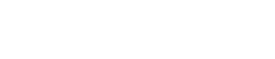 Topicus